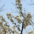 北京旅游 缩略图 7