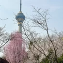 北京旅游 缩略图 3
