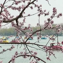 北京旅游 缩略图 9