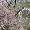 北京旅游 缩略图 12