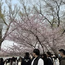 北京旅游 缩略图 11