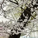 北京旅游 缩略图 13