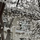 北京旅游 缩略图 14