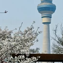北京旅游 缩略图 5
