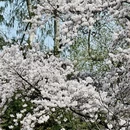 北京旅游 缩略图 4