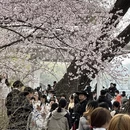 北京旅游 缩略图 16
