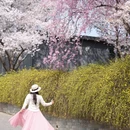 北京旅游 缩略图 1
