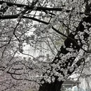 北京旅游 缩略图 15
