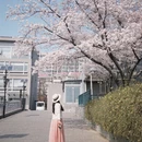 北京旅游 缩略图 2