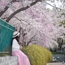 北京旅游 缩略图 4