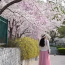 北京旅游 缩略图 3