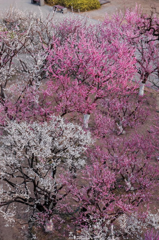 北京旅游