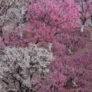 北京旅游 缩略图 1