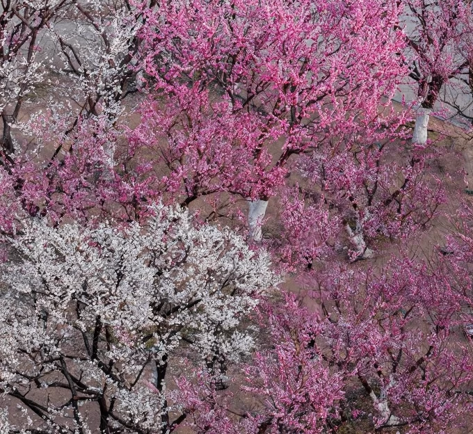 北京旅游 1