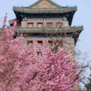 北京旅游 缩略图 5