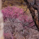 北京旅游 缩略图 4