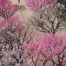 北京旅游 缩略图 10