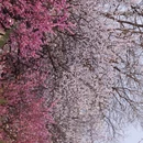 北京旅游 缩略图 12
