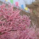 北京旅游 缩略图 8