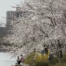 北京旅游 缩略图 6