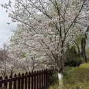 北京旅游 缩略图 5