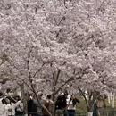 北京旅游 缩略图 10