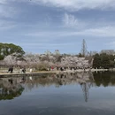 北京旅游 缩略图 11