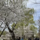 北京旅游 缩略图 4