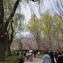 北京旅游 缩略图 8