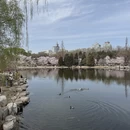 北京旅游 缩略图 13