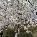北京旅游 缩略图 7