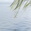 北京旅游 缩略图 2