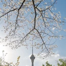 北京旅游 缩略图 10