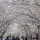 北京旅游 缩略图 6
