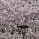 北京旅游 缩略图 9