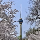 北京旅游 缩略图 7