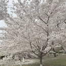 北京旅游 缩略图 1