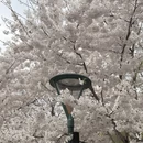 北京旅游 缩略图 7