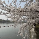 北京旅游 缩略图 9