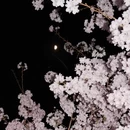 北京旅游 缩略图 6
