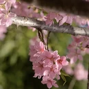 北京旅游 缩略图 4