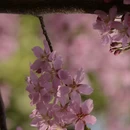 北京旅游 缩略图 10