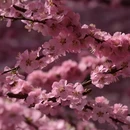 北京旅游 缩略图 13