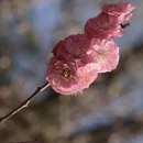 北京旅游 缩略图 6