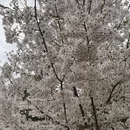 北京旅游 缩略图 2