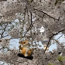 北京旅游 缩略图 7