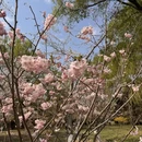 北京旅游 缩略图 10