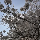 北京旅游 缩略图 12