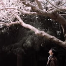 北京旅游 缩略图 2