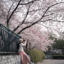 北京旅游 缩略图 5